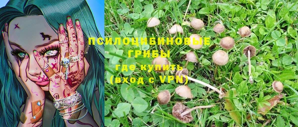 ALPHA-PVP Алексеевка